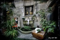 /album/fotogaleria-girona/mg-8863-640x480-jpg/